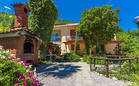 Apartments Branka